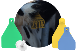 Herdsmen