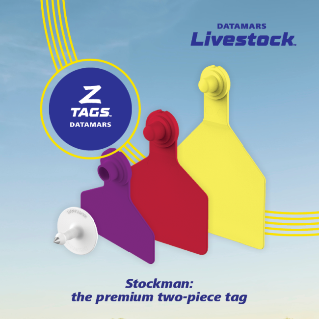 Two Piece tag banner