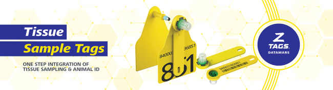 tissue sample banner 
