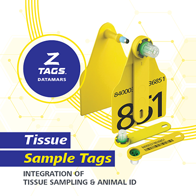 tissue sample banner 