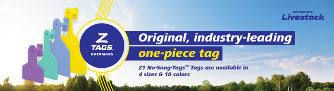 One Piece tag Banner