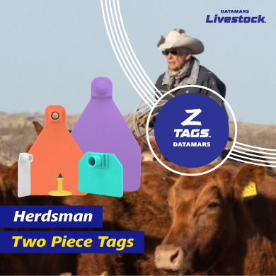 Herdsmen Two Piece Tags