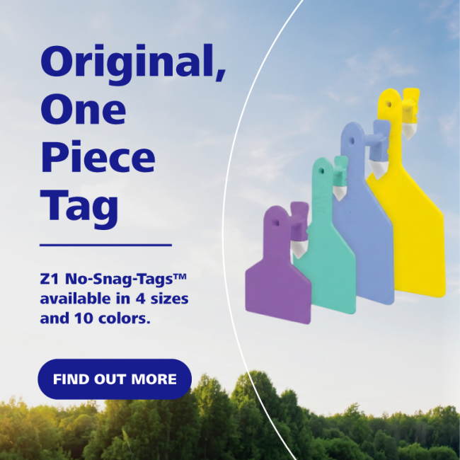 ZTAGS US Canada mobile banner